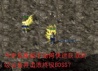 ����˽��������ο��ٻ�ȡ�߼�װ���������ռ�BOSS��