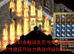 ������ְҵ������̬����˽��������ο�������ս����ս�ռ�BOSS��