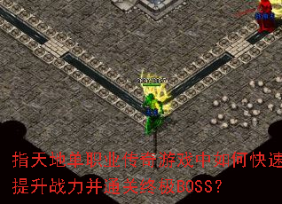 ָ��ص�ְҵ������Ϸ����ο�������ս����ͨ���ռ�BOSS��