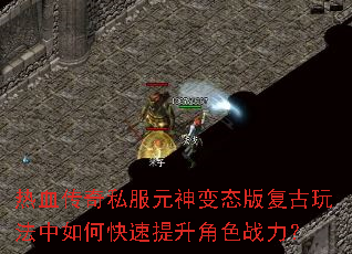 ��Ѫ����˽��Ԫ���̬�渴���淨����ο���������ɫս����