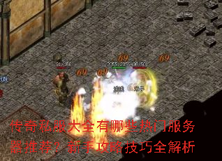 ����˽����ȫ����Щ���ŷ������Ƽ������ֹ��Լ���ȫ����