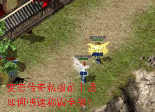 ��̬����˽��ǰʮǿ��ο��ٳư�ȫ����