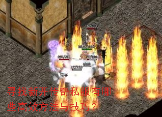 Ѱ���¿�����˽������Щ��Ч�����뼼�ɣ�