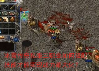 ��ѩ����˽����ְҵ��δ��似�ܲ���ʵ��ս����󻯣�