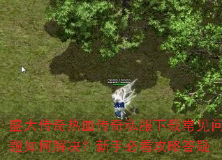 ʢ������Ѫ����˽�����س���������ν�������ֱؿ����Դ���