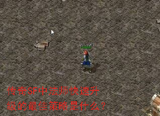 ����SF�з�ʦ������������Ѳ�����ʲô��