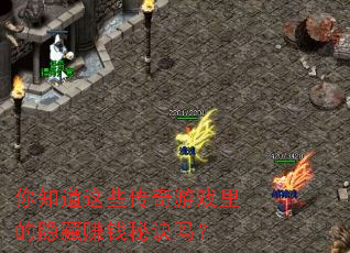 ��֪����Щ������Ϸ�������׬Ǯ�ؾ���