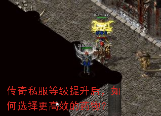 ����˽���ȼ����������ѡ�����Ч��ҩ�