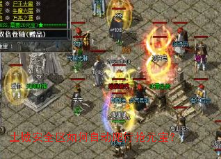 ���ǰ�ȫ������Զ�������Ԫ����