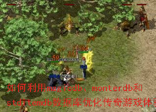 �������magicdb��monterdb��stditemdb���ݿ��Ż�������Ϸ���飿