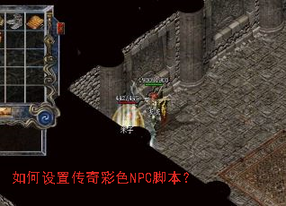 ������ô����ɫNPC�ű���