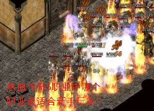 ��Ѫ����5ְҵ���ĸ�ְҵ���ʺ�������ң�