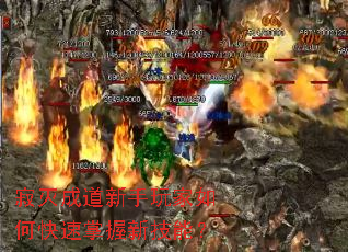 ����ɵ����������ο��������¼��ܣ�