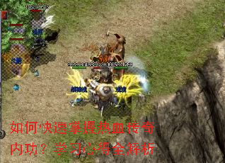 ��ο���������Ѫ�����ڹ���ѧϰ�ĵ�ȫ����