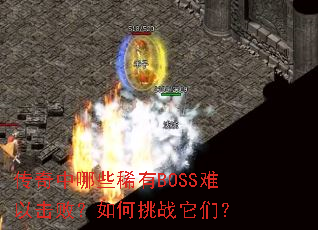 ��������Щϡ��BOSS���Ի��ܣ������ս���ǣ�