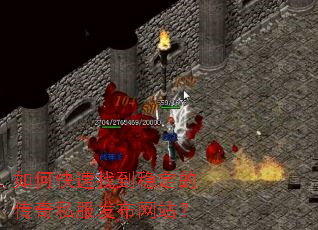 ��ο����ҵ��ȶ��Ĵ���˽��������վ��