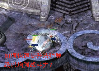 ��ο���������ʦ�ȼ�����ǿս������