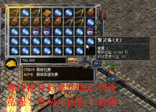 �������ҵ�����Ѫ�Ĵ���˽�����ռ�ָ������ư�