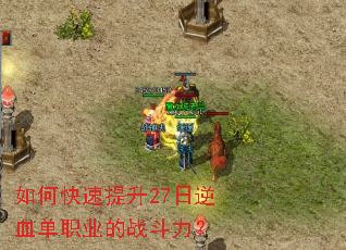 ��ο�������27����Ѫ��ְҵ��ս������