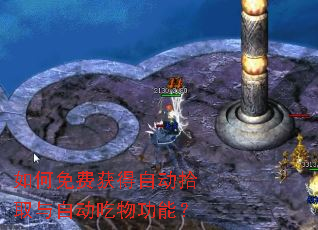 �����ѻ���Զ�ʰȡ���Զ����﹦�ܣ�