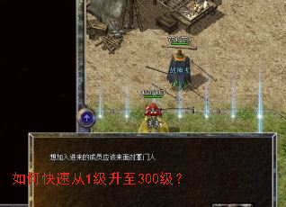 ��ο��ٴ�1������300����