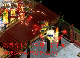 ��ºϻ�����˽����������ο�������������ս����