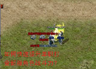 ��ο���������ְ����·���ɫս������