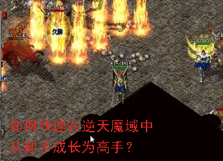 ��ο���������ħ���д����ֳɳ�Ϊ���֣�