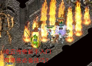 ���ƴ���������������Щ�ر����ɣ�